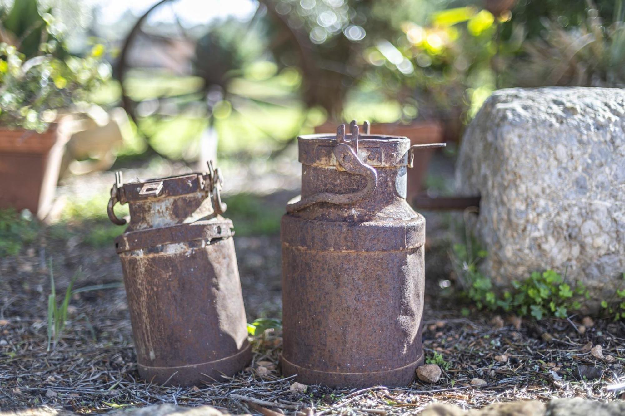 Finca Som Llum Palma de Mallorca Ngoại thất bức ảnh